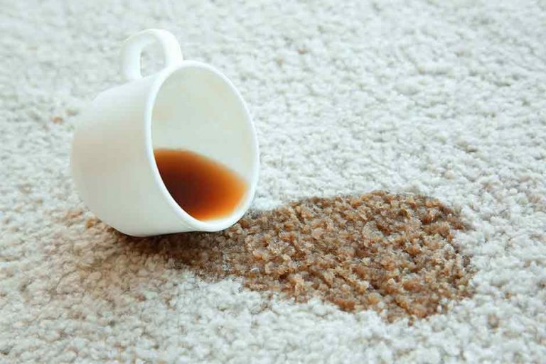 Carpet Stain Removers – What You Didn’t Know